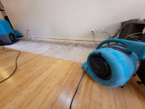 Professional Water Damage Repair technician working in Bethesda, MD